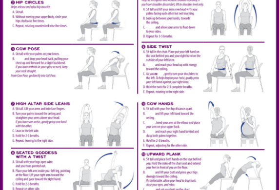 Senior Chair Yoga Exercises