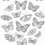 Top View Of An Assortment Of Butterflies