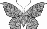 Trippy Butterfly For Coloring