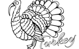 Turkey Outline To Color