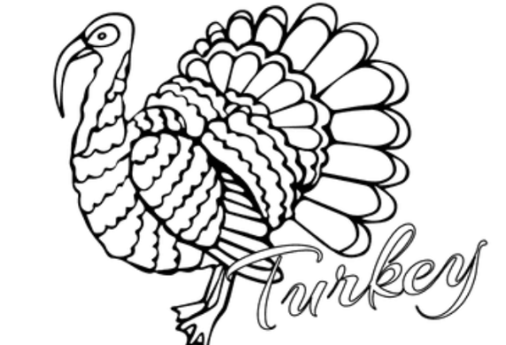 Turkey Outline To Color