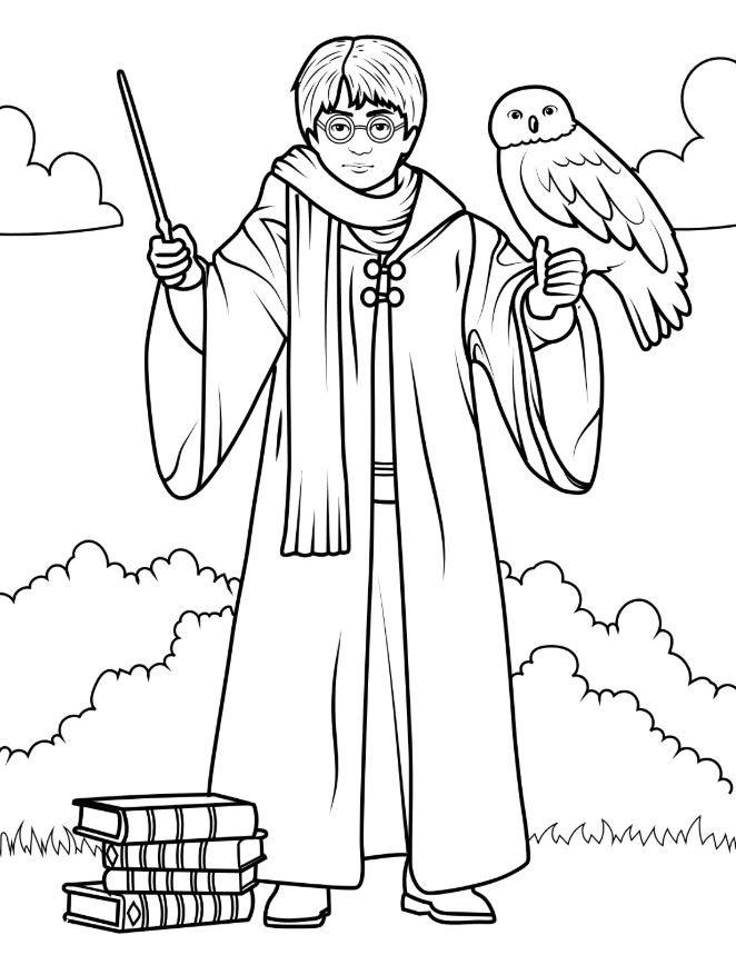 Harry Potter Holding Hedwig The Owl Coloring