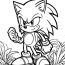 Dreamy 27 Sonic Coloring Pages Gallery